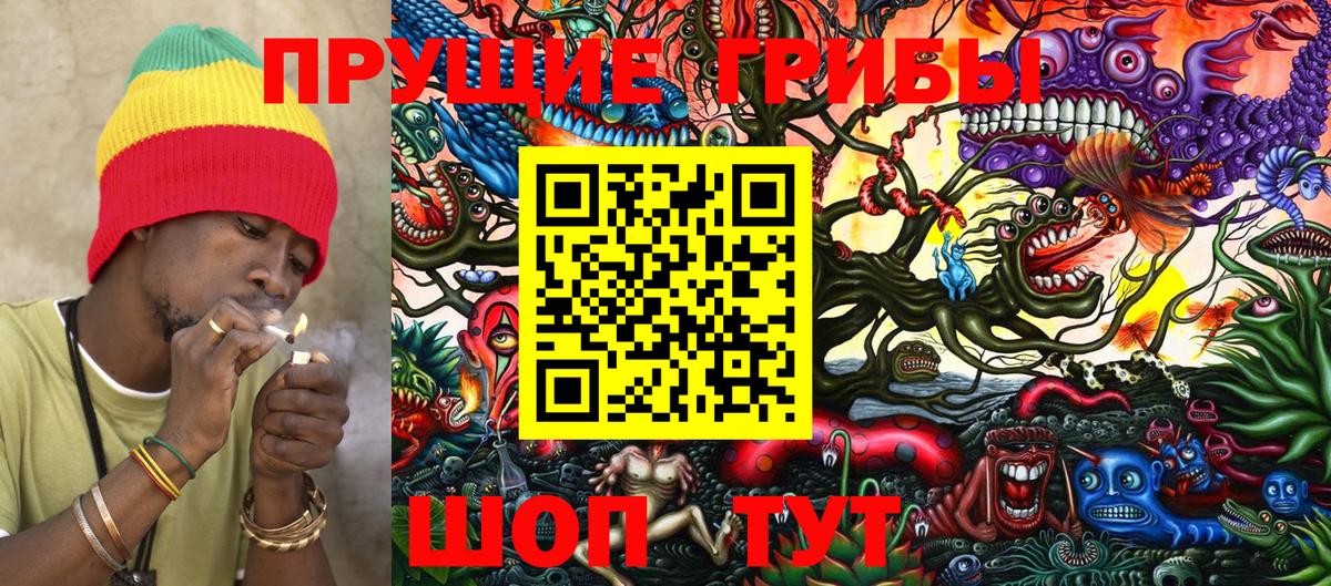 Галлюциногенные грибы Cubensis  Псилоцибиновые грибы прущие грибы  Вход с VPN  где купить наркотик  Батайск 