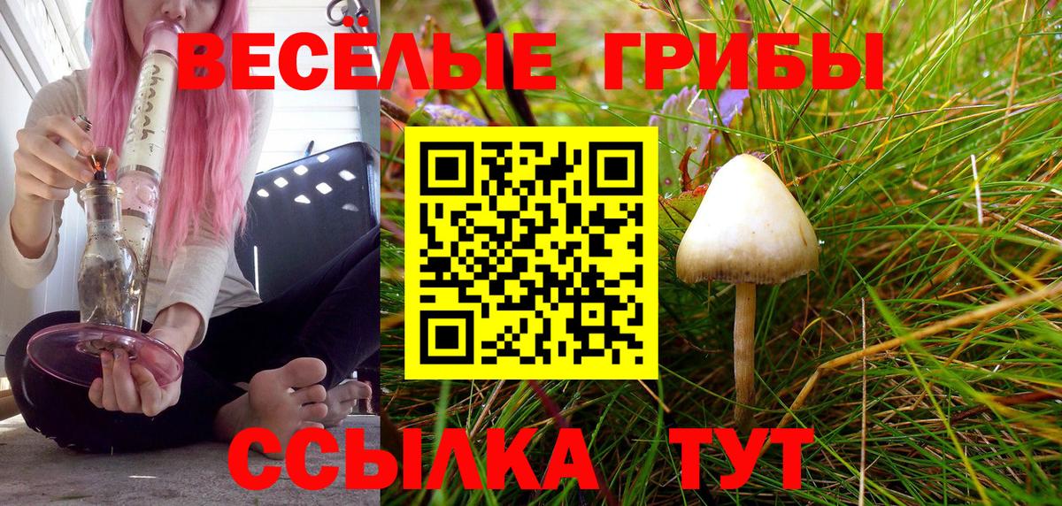 Псилоцибиновые грибы прущие грибы Батайск